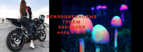 прущие крисы Алзамай